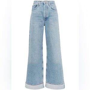 AGOLDE Dame High Rise Wideleg Jean